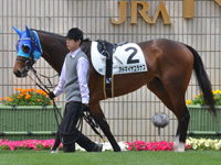 500万下　パドック