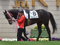 未勝利　パドック