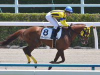 500万下（牝）　キャンター