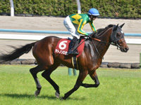 第67回 京都新聞杯（ＧII）　キャンター