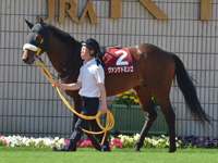 第67回 京都新聞杯（ＧII）　パドック