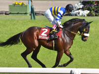 第67回 京都新聞杯（ＧII）　キャンター