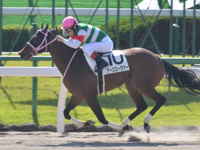 京都1R　未勝利　アーズローヴァー