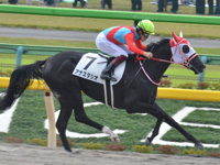 東京1R　未勝利　アナスタシオ