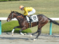 阪神3R　未勝利　シールドヴォルト