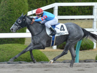 阪神1R　未勝利　ヤマニンブルーベル