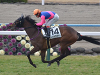 京都6R　新馬　メイショウハナグシ