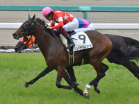 新馬　ゴール前