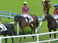 新馬　レース後