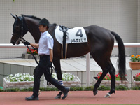 新馬　パドック