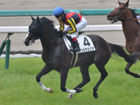 新馬　キャンター