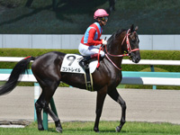 新馬　本馬場入場