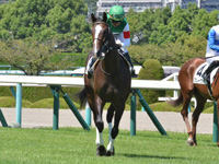 新馬　本馬場入場