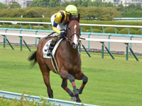 新馬　キャンター