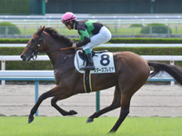 未勝利　キャンター