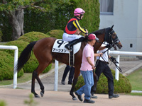 未勝利　本馬場入場