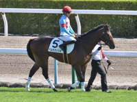 本馬場入場