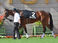紫菊賞（1勝クラス）　パドック