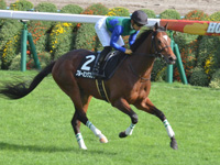 紫菊賞（1勝クラス）　キャンター