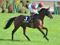 紫菊賞（1勝クラス）　キャンター