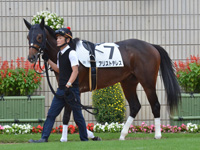 未勝利　パドック