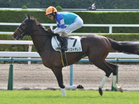 未勝利　キャンター