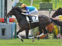 未勝利　ゴール前