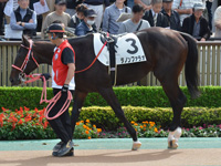 新馬　パドック