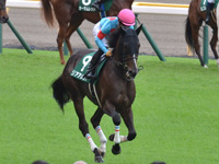 第8回 アルテミスステークス（ＧIII）　キャンター