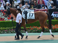 新馬（牝）　パドック