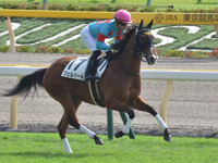 新馬（牝）　キャンター