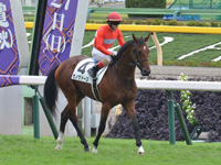 新馬　キャンター