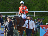 第54回 デイリー杯2歳ステークス（ＧII）　パドック（騎乗周）