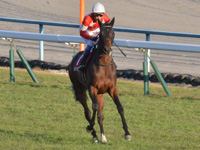 第54回 デイリー杯2歳ステークス（ＧII）　凱旋