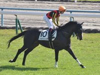 未勝利　キャンター