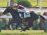 未勝利　ゴール前