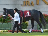 第54回 デイリー杯2歳ステークス（ＧII）　パドック