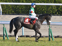 第54回 デイリー杯2歳ステークス（ＧII）　本馬場入場