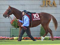 第54回 デイリー杯2歳ステークス（ＧII）　パドック