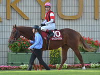 第54回 デイリー杯2歳ステークス（ＧII）　パドック（騎乗周）