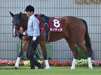 第54回 デイリー杯2歳ステークス（ＧII）　パドック