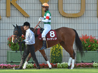 第54回 デイリー杯2歳ステークス（ＧII）　パドック（騎乗周）