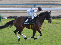 黄菊賞（1勝クラス）　キャンター