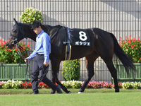 黄菊賞（1勝クラス）　パドック