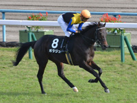 黄菊賞（1勝クラス）　キャンター
