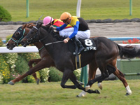 黄菊賞（1勝クラス）　ゴール前（外2着）