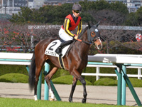 新馬　本馬場入場