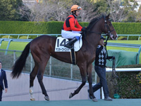 未勝利　本馬場入場