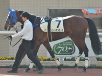新馬　パドック
