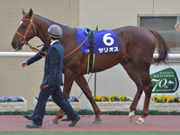 第71回 朝日杯フューチュリティＳ（ＧＩ）　パドック